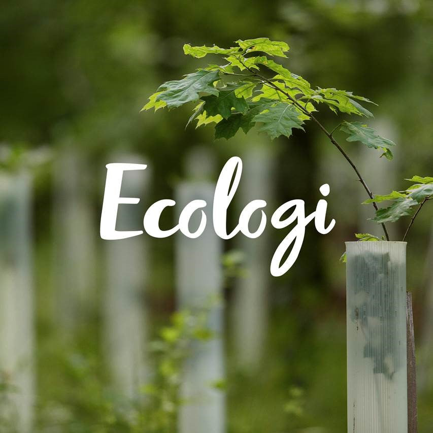 Rachel Ellen Designs Trade and Ecologi: Planting Trees for a Greener Future! 🌍🌳