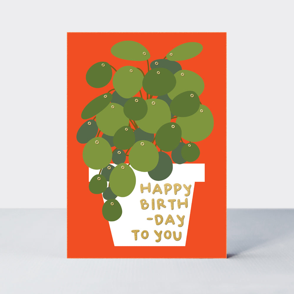 Oopsie Daisy - Happy Birthday To You/Potted Money Plant Birthday Card