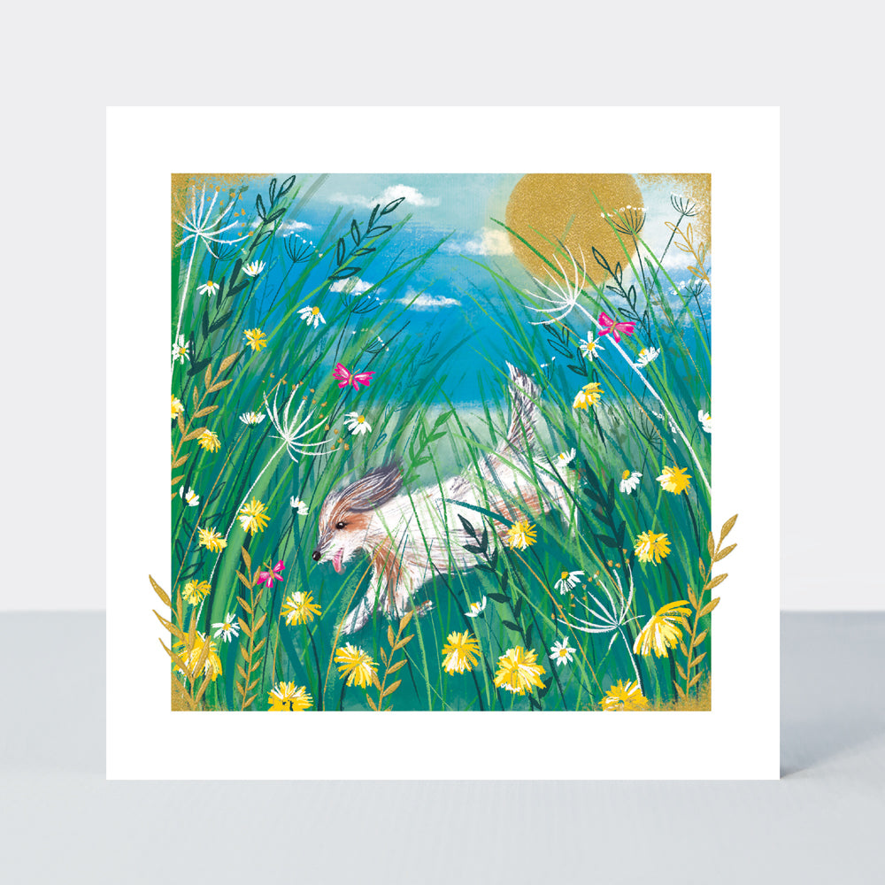 Gallery - Dog In Meadow - Blank Greetings Card