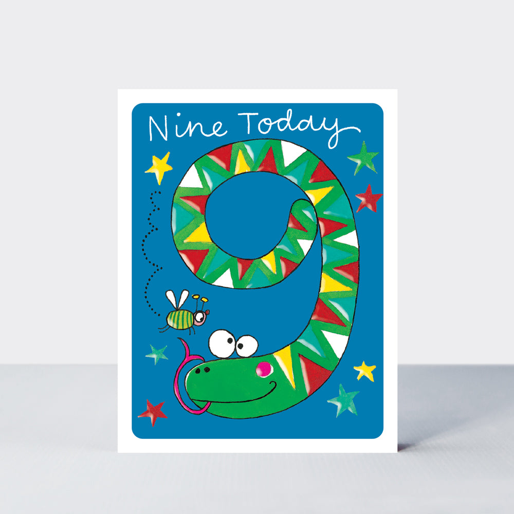 Hey! Age 9 Birthday card - Snake
