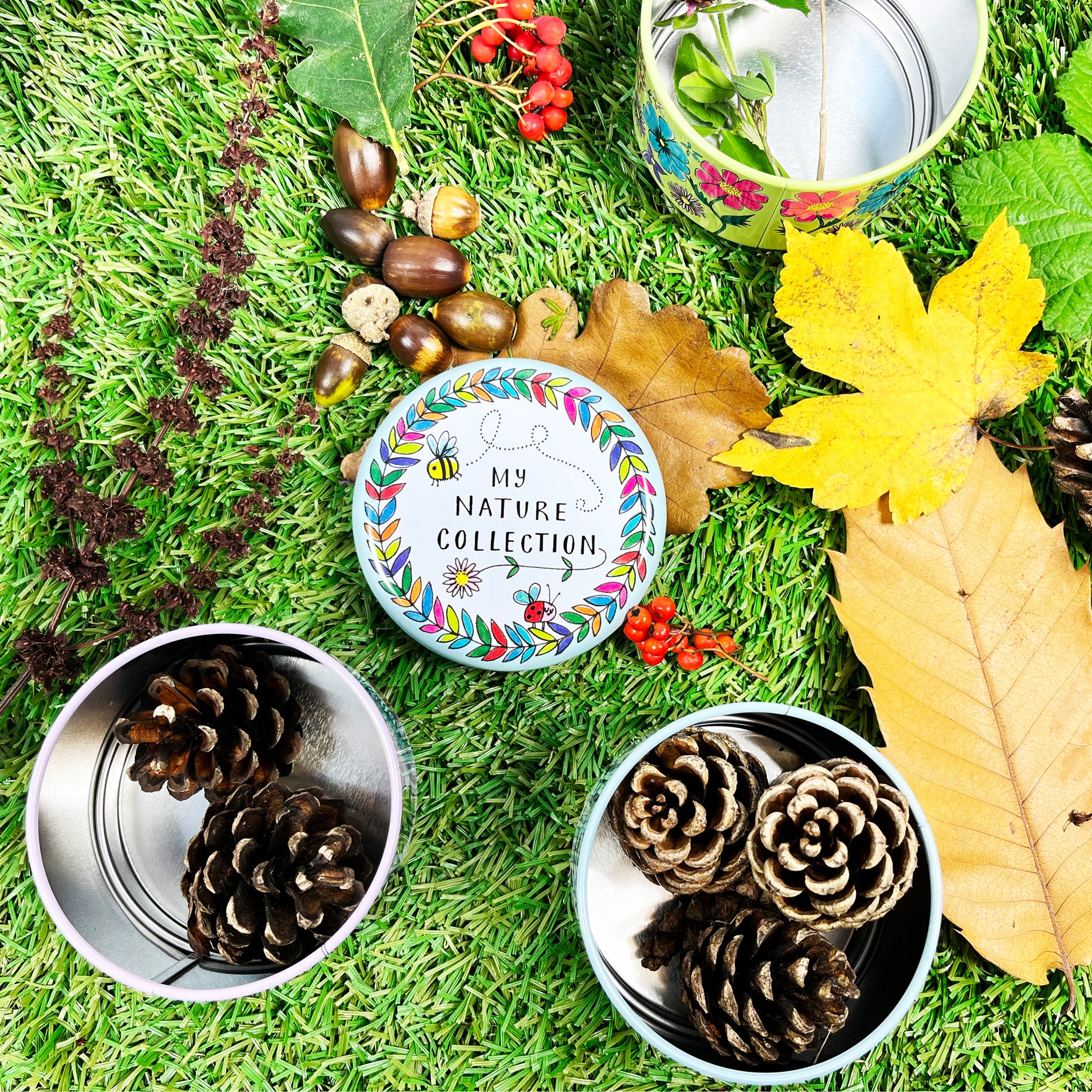Stacking Tin - My Nature Collection