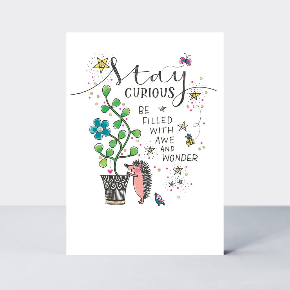 TLC - Stay curious/hedgehog & plant - Greetings Card