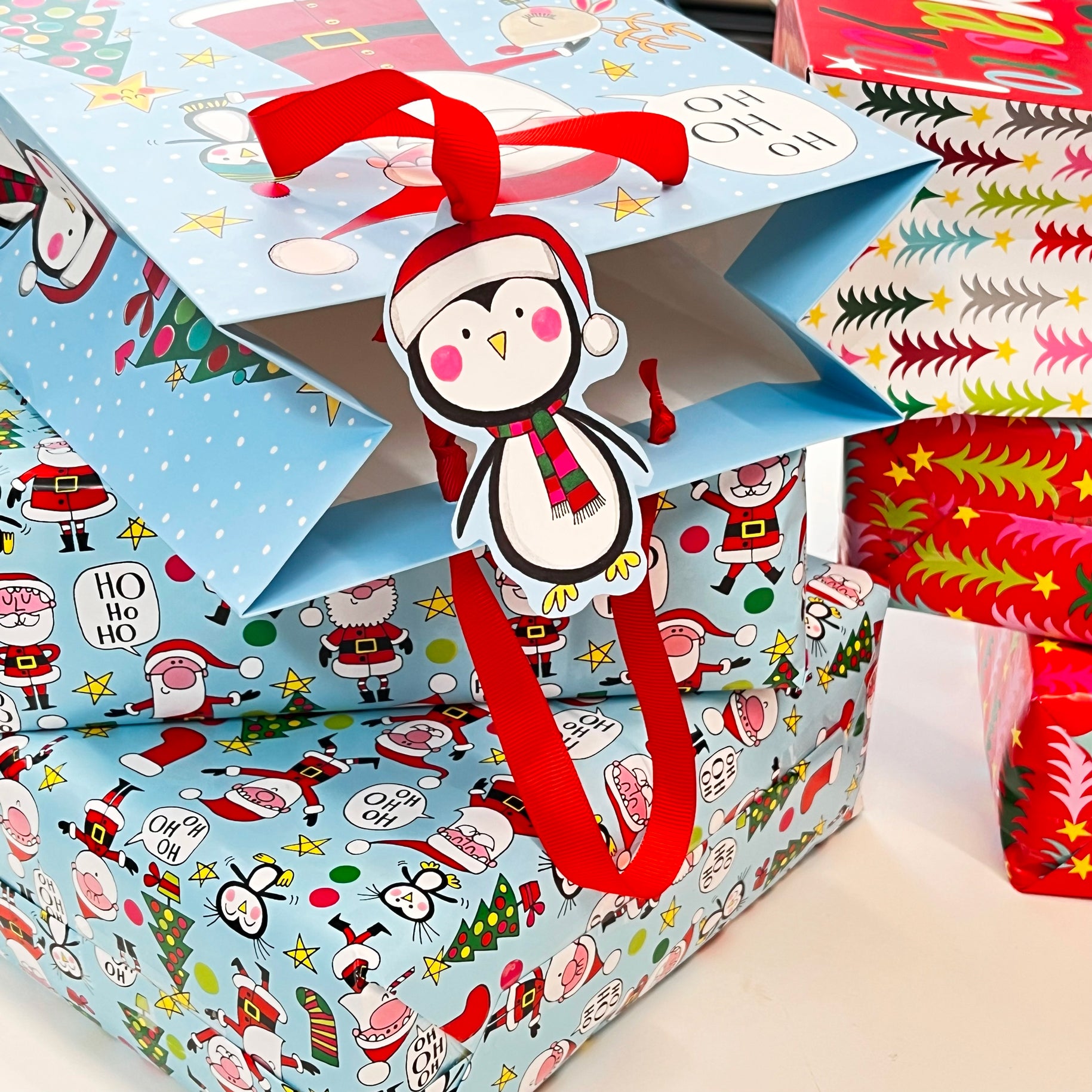 Christmas Medium Gift Bag - Santa