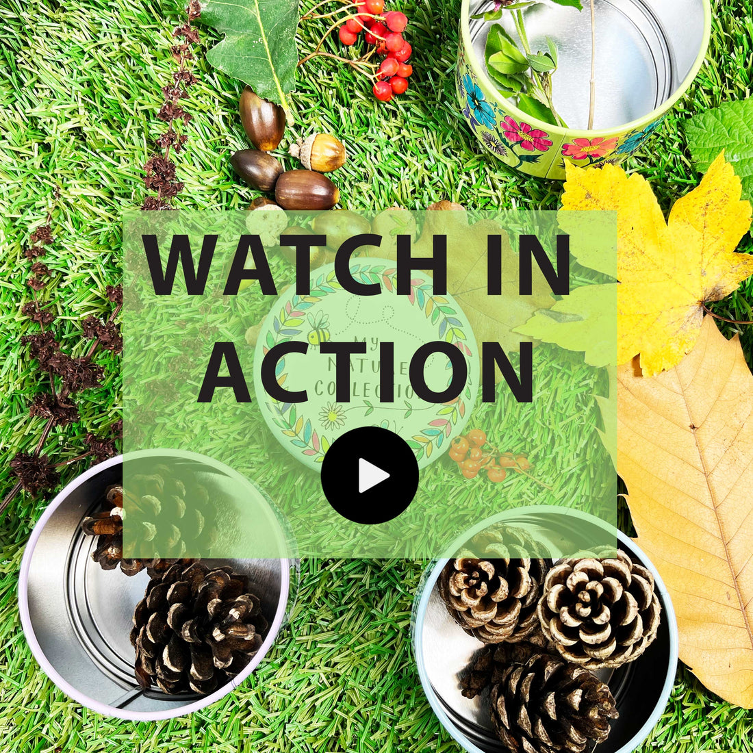 Stacking Tin - My Nature Collection