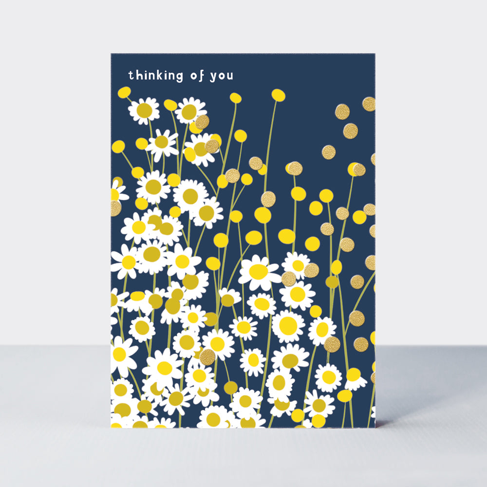 Belle - Daisies - Thinking of You Card