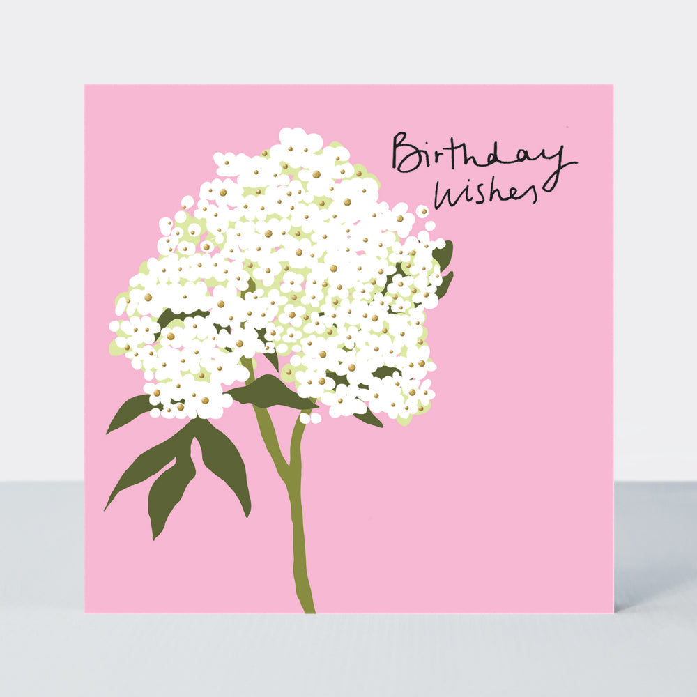 Field Day - Birthday Wishes birthday card - Hydrangea