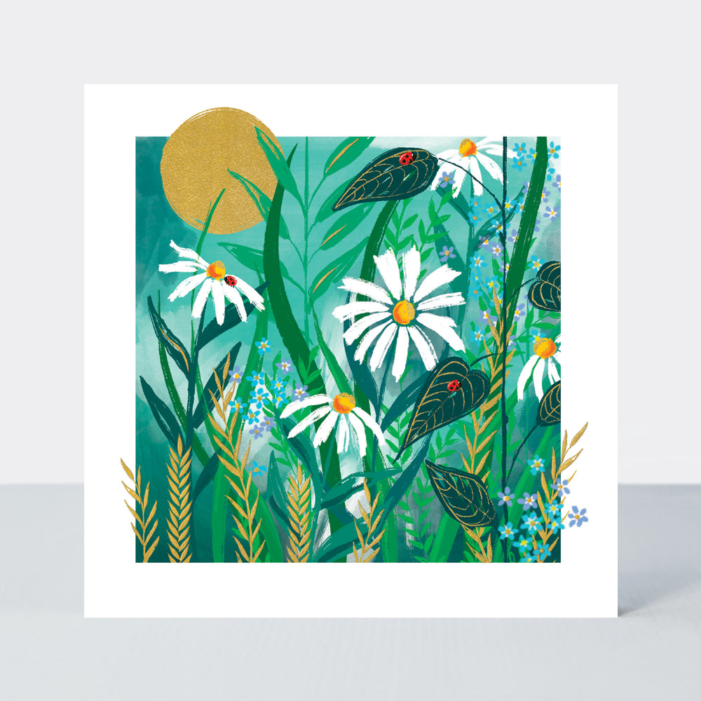 Gallery - Blank Daisies On Teal  - Birthday Card