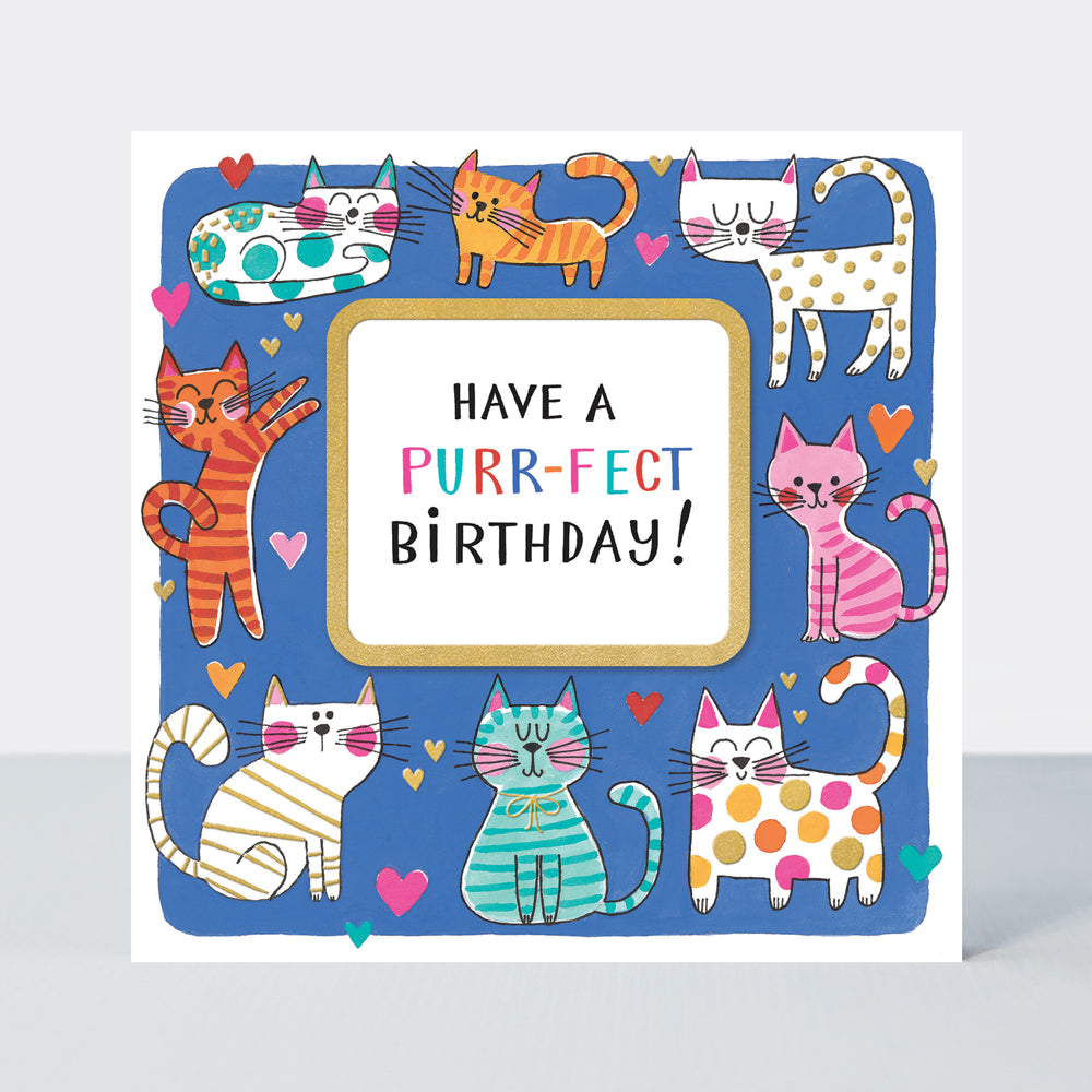 Rhubarb - Purr-fect Birthday/Cats- birthday card