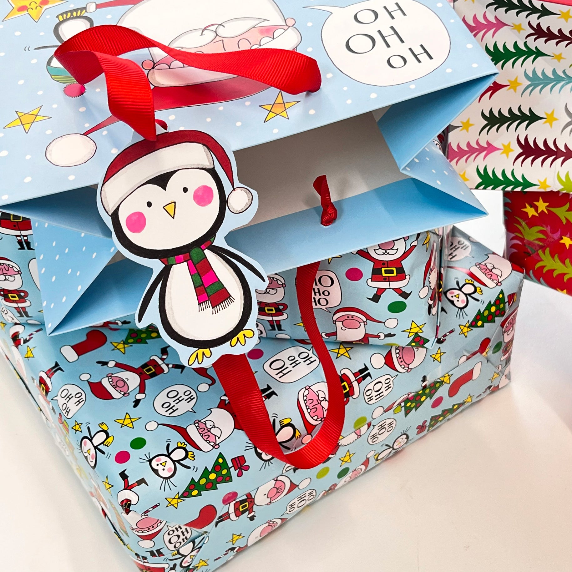 Christmas Medium Gift Bag - Santa