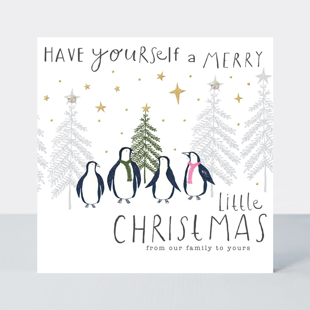 Good Tidings - From Our Family To Yours/Penguins Christmas Card