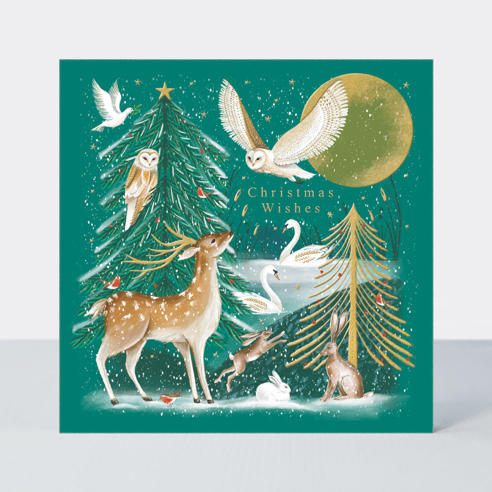 Boxed Luxury Christmas Cards - Christmas Wishes Wild winter