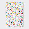 Giftwrap - Colourful Spots